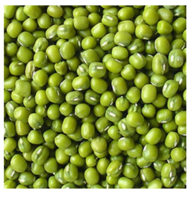 Pacha Pessalu